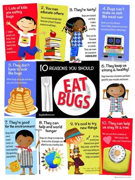 Edible Insects Educational Poster
