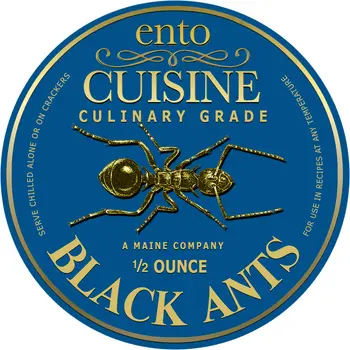 Gourmet Black Ants