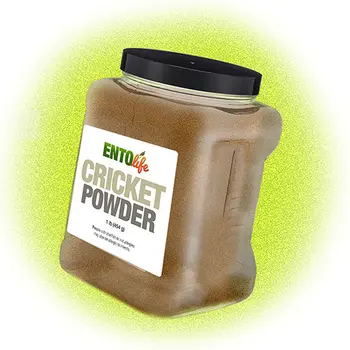 Prebiotic Cricket Protein Powder