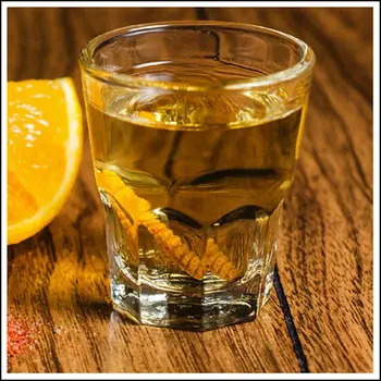 Chinicuil Gusanos or Mezcal Worms