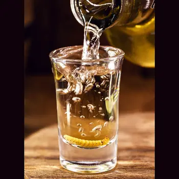 Chinicuil Gusanos or Mezcal Worms