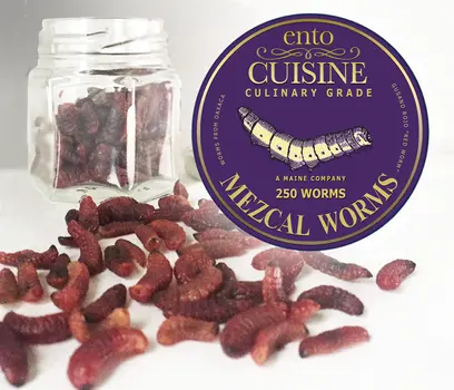 Chinicuil Gusanos or Mezcal Worms
