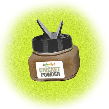 Prebiotic Cricket Protein Powder