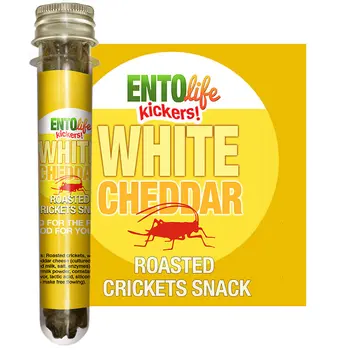 Mini-Kickers Set: Savory Flavored Roasted Cricket Snacks