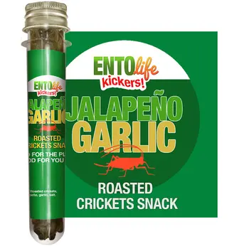 Mini-Kickers Set: Savory Flavored Roasted Cricket Snacks