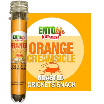 Mini-Kickers Set: Sweet Roasted Cricket Snacks