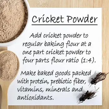 Prebiotic Cricket Protein Powder