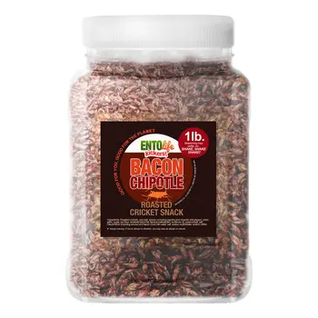 Crickets By The Pound | Bacon Chipotle