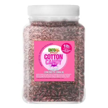 Crickets By The Pound | Cotton Candy