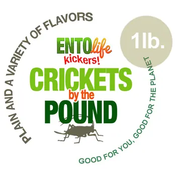 Crickets By The Pound