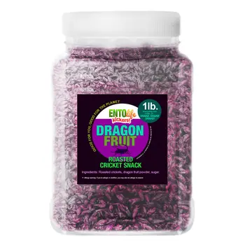 Crickets By The Pound | Dragon Fruit
