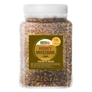 Crickets By The Pound | Honey Mustard