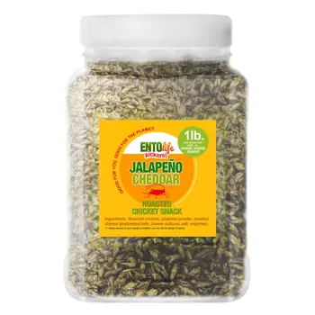 Crickets By The Pound | Jalapeno Cheddar