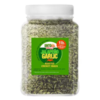 Crickets By The Pound | Jalapeno Garlic