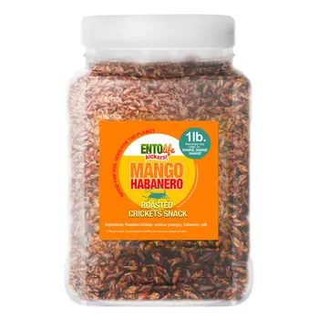 Crickets By The Pound | Mango Habanero