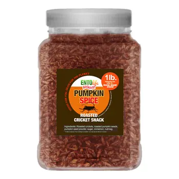 Crickets By The Pound | Pumpkin Spice