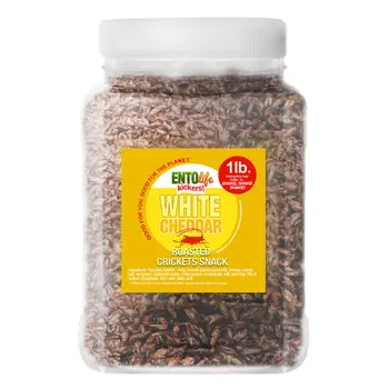 Crickets By The Pound | White Cheddar