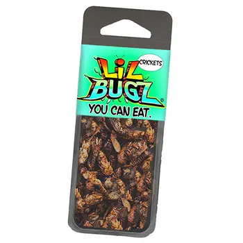 Lil Bugz You Can Eat!