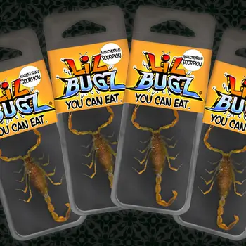 Edible Scorpion 4-Pack