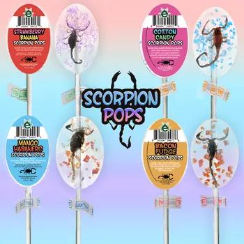 Scorpion Pops | Real Scorpions Encased in a Candy Sucker
