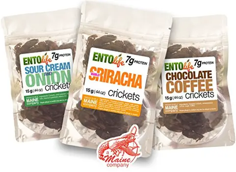 Cricket Sample Pack - Set of 6 Flavors