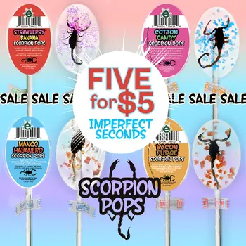 Irregular Scorpion Pops - 5 for Five Dollars!