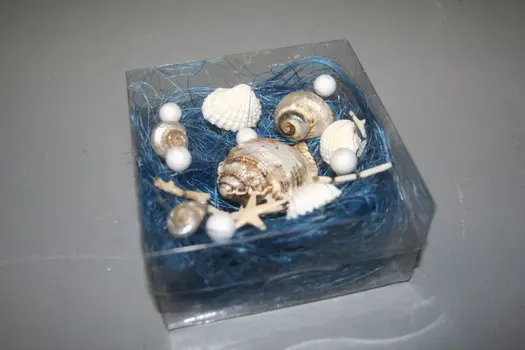 SHELL+BLUE SHELF/PVC BOX