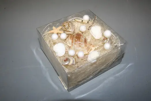 SHELL+NATURAL SHELF/PVC BOX