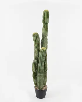 CACTUS GREEN 116CM