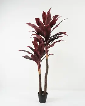 CYCAS PALM RED 60*140CM