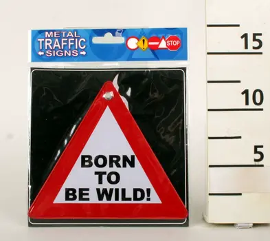 BAPTIST BORN TO BE WILD
