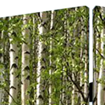 84" X 84" Multi Color Wood Canvas Prolific Forrest  Screen