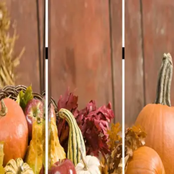 48 X 72 Multi Color Wood Canvas Harvest  Screen