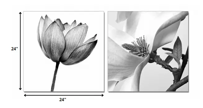 Set of Two White Canvas Square Framed Art
