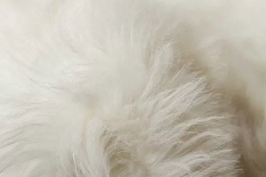 5' X 8' Off White Faux Fur Area Rug