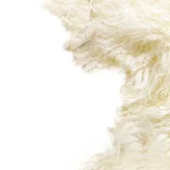 2' X 3' Natural New Zealand Sheepskin Wool Area Rug