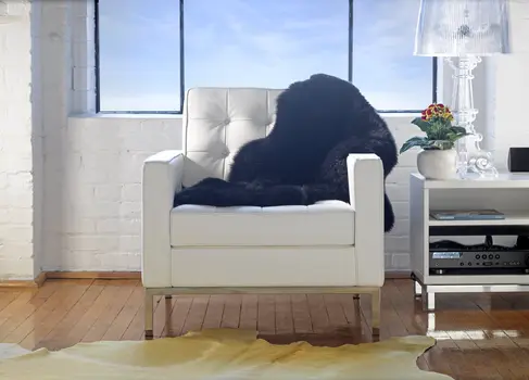 72" X 84" Yellow Cowhide - Rug