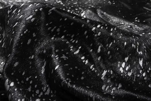 6' X 7' Black And Silver Cowhide Animal Print Area Rug