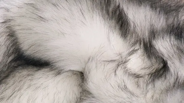 2' X 3' Gray And Ivory Faux Fur Area Rug