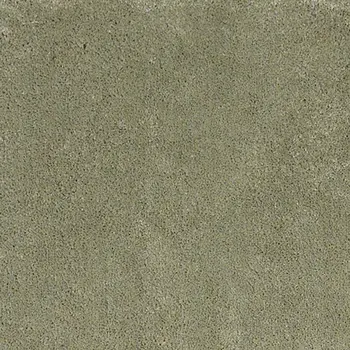 8' X 10' Sage Shag Hand Woven Area Rug