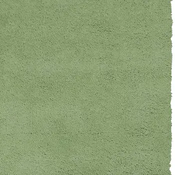 8' X 11' Green Shag Hand Woven Area Rug