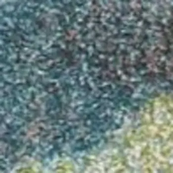 9' X 13'  Polypropylene Blue Or  Green Area Rug