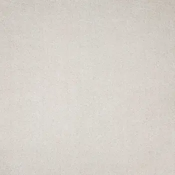 9' X 13' Ivory Hand Woven Area Rug