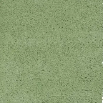 5' X 7' Green Shag Hand Woven Area Rug