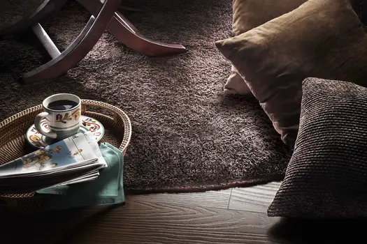5' X 7' Espresso Indoor Shag Rug