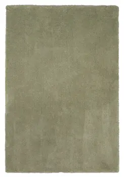 5' X 7' Sage Shag Hand Woven Area Rug