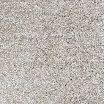 2' X 4' Ivory Shag Hand Woven Area Rug