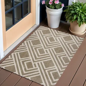 3' X 5' Beige Geometric Indoor Outdoor Area Rug