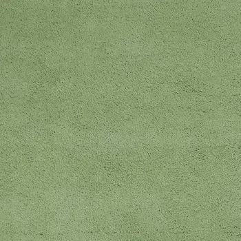 3' X 5' Green Shag Hand Woven Area Rug