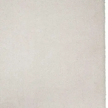 3' X 5' Ivory Shag Hand Woven Area Rug